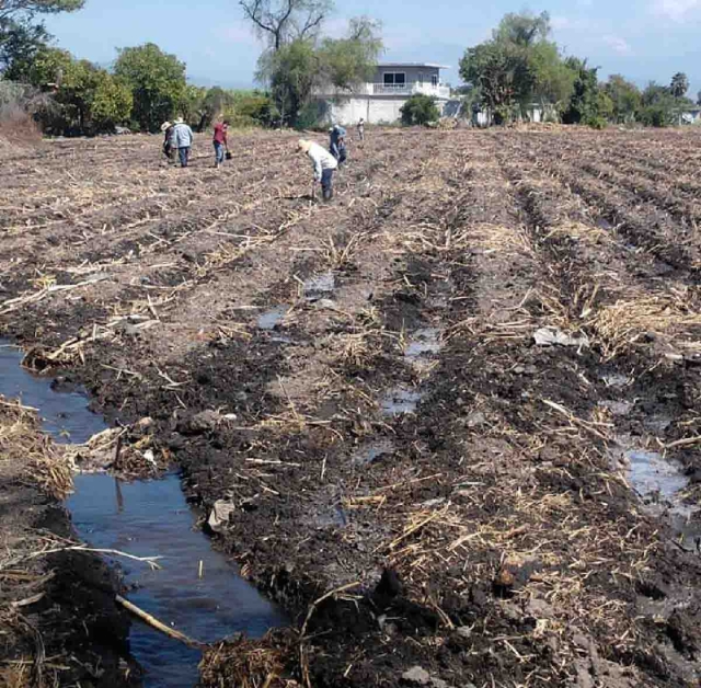 La sequía mantiene en alerta a los productores del campo.