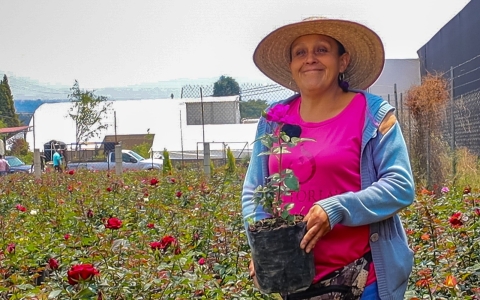 Invita Gobierno de Morelos a regalar &#039;¡Flores para mamá!&#039;