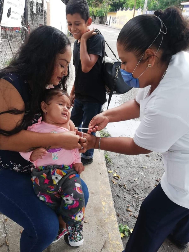 Esta semana se instalarán módulos de vacunación en dos municipios de la región sur. 