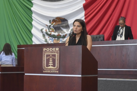 Presenta diputada Melissa Montes de Oca iniciativa para crear el delito de violaci&oacute;n a persona menor