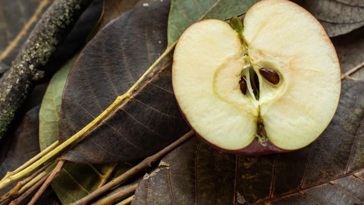 Esto te podría pasar si comes semillas de manzana