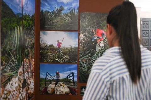 Agaveros se suman a defensa del mezcal