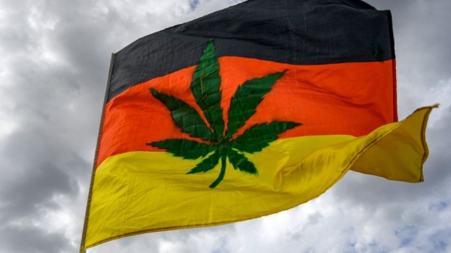 Alemania quiere legalizar la marihuana para combatir al crimen organizado