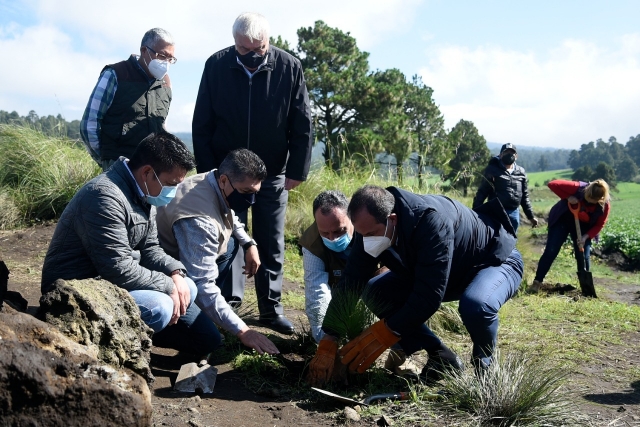 Clausura Cuauhtémoc Blanco campaña estatal de reforestación