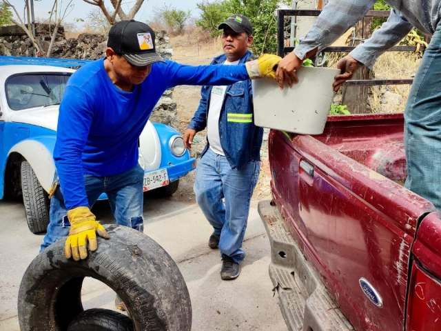 La intención de la campaña es eliminar los cacharros que pudieran servir como criaderos del mosco del dengue.