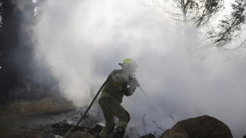 Incendio en Israel arrasa bosque de pinos y recibe ayuda internacional
