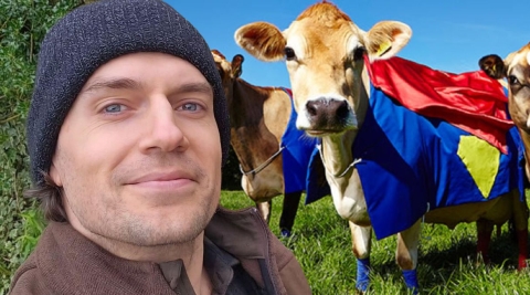 De Hollywood al campo: Henry Cavill compra vacas rubias gallegas en su visita a España