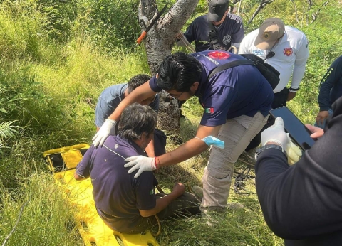 Sufrió golpes durante una caída