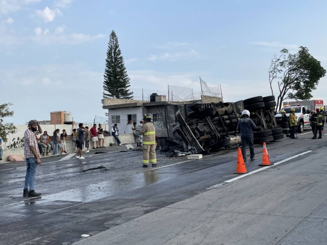 Los vecinos trataron de atrapar a los animales, varios de los cuales vagaron sueltos por la carretera.