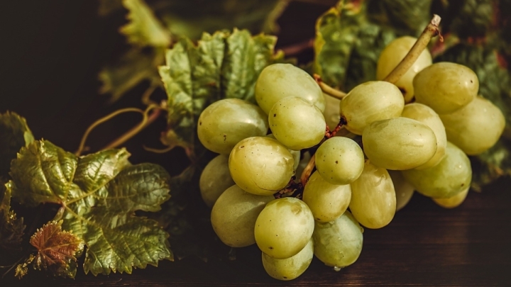 En estas fiestas decembrinas aprende a conservar por mucho más tiempo las uvas