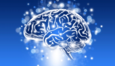 D&iacute;a mundial del cerebro: Un llamado al cuidado y la conciencia