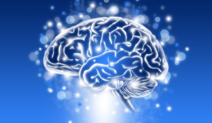 Día mundial del cerebro: Un llamado al cuidado y la conciencia