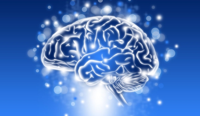 Día mundial del cerebro: Un llamado al cuidado y la conciencia