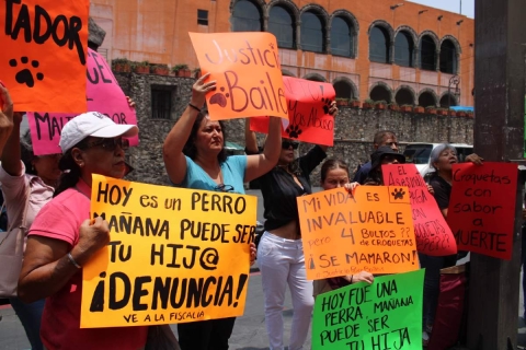 Organizaciones realizaron una protesta en la sede del Tribunal Superior de Justicia por las medidas aplicadas al estudiante detenido por golpear hasta la muerte a un perro. 