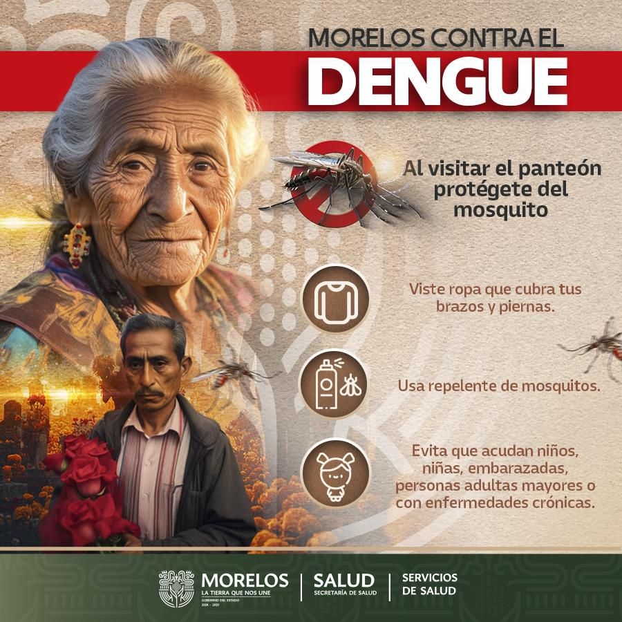 Pide Salud reforzar medidas para prevenir enfermedades transmitidas por vector