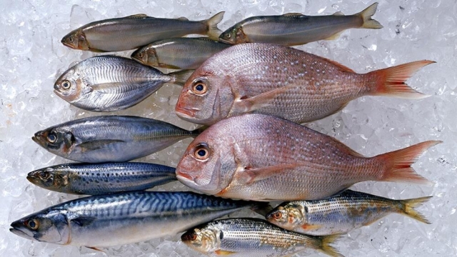 ¡Administra tu dinero! 5 pescados económicos para semana santa