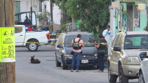 El joven qued&oacute; sin vida junto a la puerta del conductor de una camioneta.
