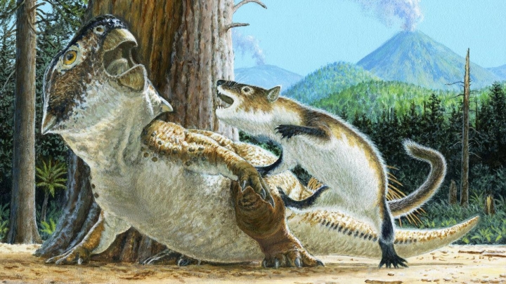 Hallazgo sorprendente: Fósil revela a un mamífero atacando un dinosaurio