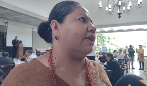 Comercio y hotelería, así como restaurantes, los sectores más afectados por actual crisis económica: CCE