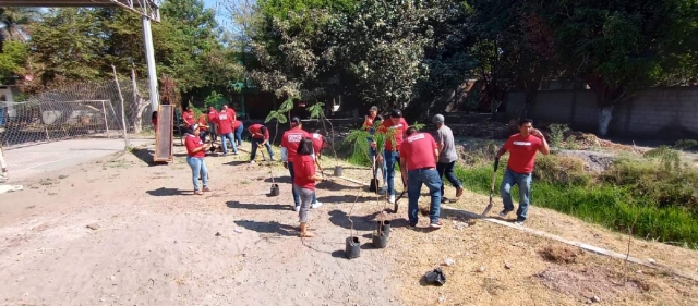 Los árboles fueron plantados por cuadrillas de la empresa.