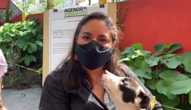 Activistas llaman a candidatos a firmar la agenda animalista