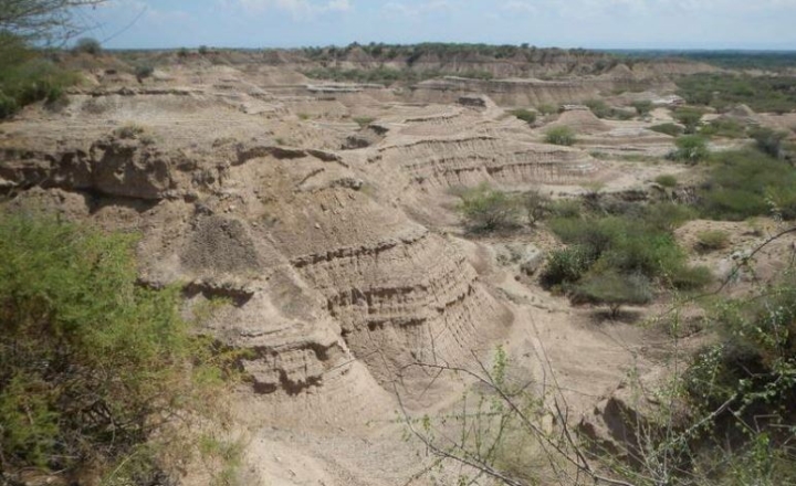 Fósiles etíopes de Homo sapiens son 35 mil años más antiguos de lo que se creía