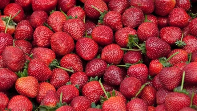 México colabora con EU en investigación sobre brote de hepatitis tipo A en fresas