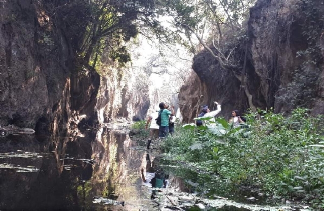 El bosque dota de agua a parte de los estados de Morelos y México, así como a la capital del país.