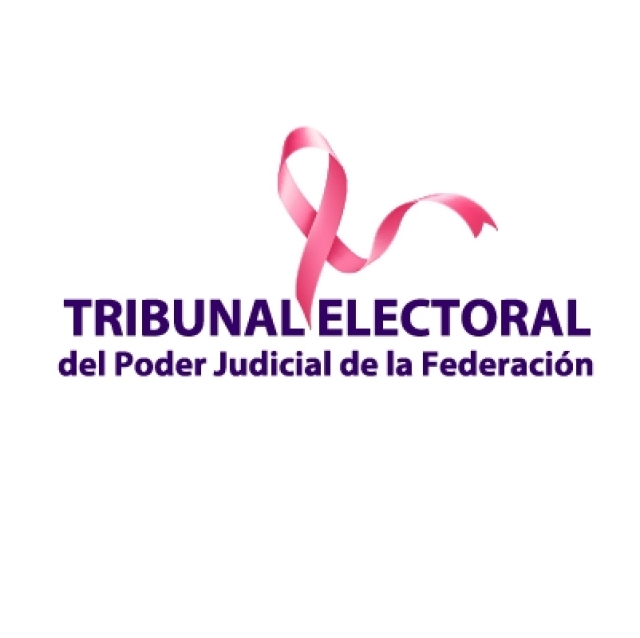 Precampañas federales iniciarán a finales de noviembre: TEPJF