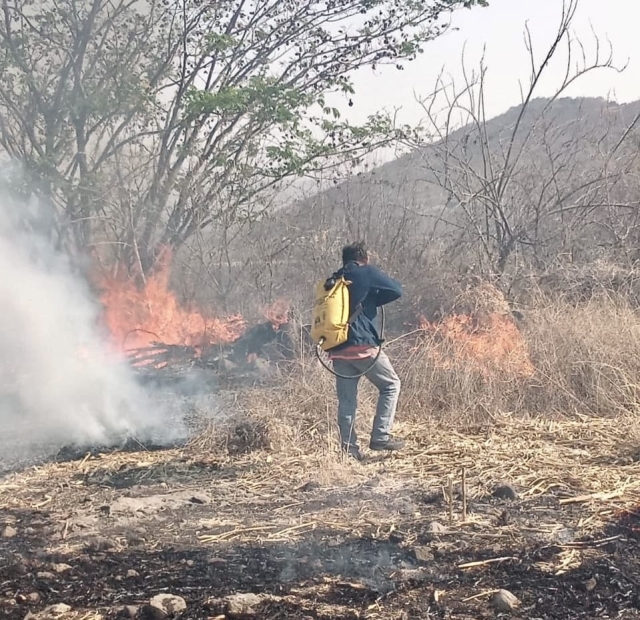 Atiende Mando Unificado cuatro incendios forestales, en Huitzilac, Yautepec y Tepoztlán