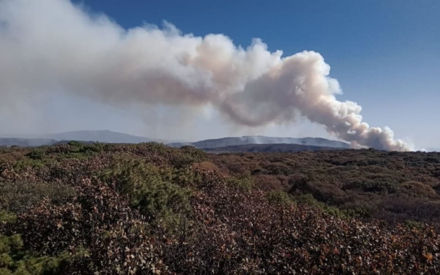 Detienen a un hombre acusado de provocar el incendio en La Primavera