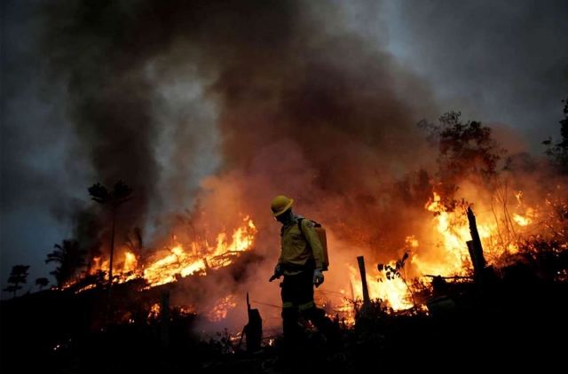 Cambio climático y cultura de paz II