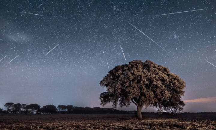 Perseidas 2022: ¿Cómo ver la lluvia de meteoritos más espectacular del año?