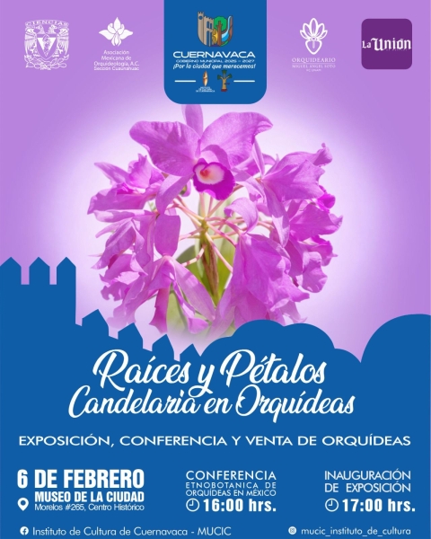 Fin de semana en el MuCiC: 'Ra&iacute;ces y p&eacute;talos, una celebraci&oacute;n de la Candelaria en orqu&iacute;deas'