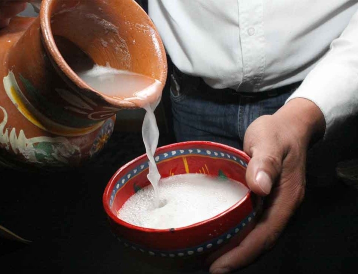 Los beneficios de una bebida prehispánica en nuestros días: pulque para todos (Primera Parte)