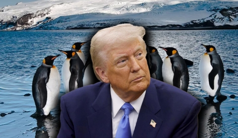 Trump aplica aranceles a islas remotas habitadas solo por pingüinos
