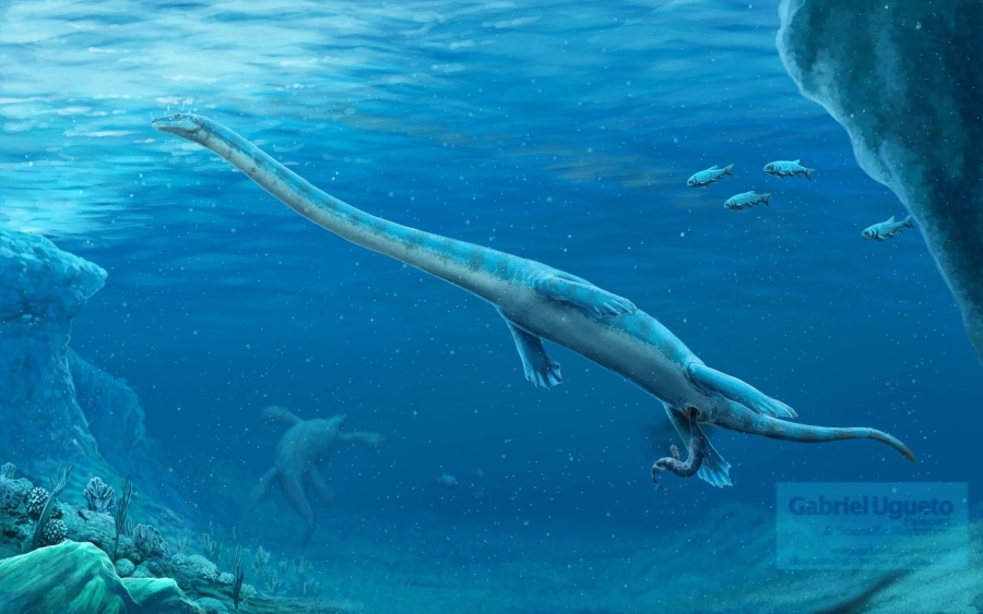 Descubren fósil de 'dragón chino' acuático de hace 240 millones de años