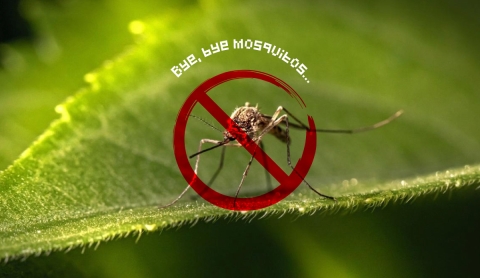 Cómo hacer velas antimosquitos caseras y decorativas