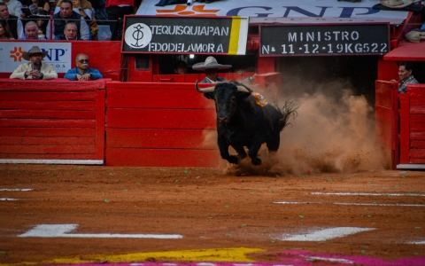 Congreso de CDMX extiende plazo para dictaminar sobre corridas de toros