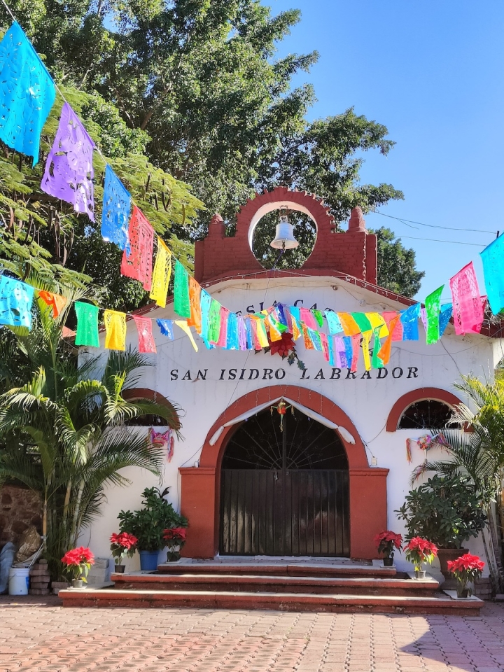 Ajuchitlán, flores en el río