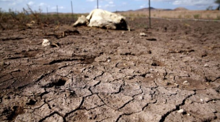 Cambio climático afectaría a 1,200 millones de personas en 2070