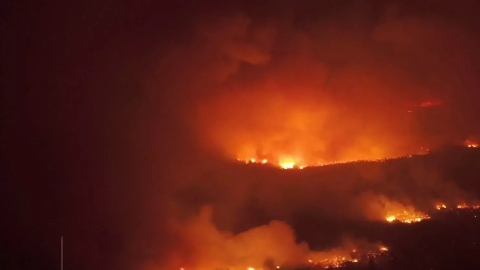 Incendios forestales consumen m&aacute;s de 30 mil hect&aacute;reas en el sur de Argentina