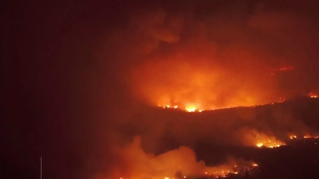 Incendios forestales consumen m&aacute;s de 30 mil hect&aacute;reas en el sur de Argentina