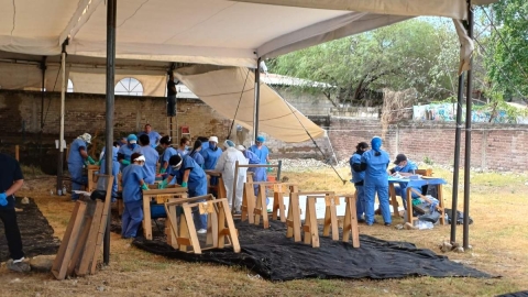 Especialistas de diversas instituciones participan en los trabajos.