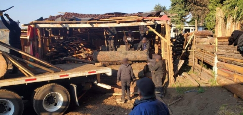 Toda la madera y demás objetos incautados quedaron a cargo de las autoridades federales.