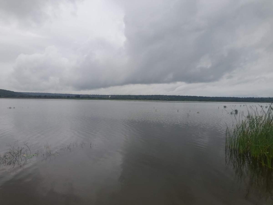 La problemática ha sido denunciada desde hace varios años por los pescadores, pero sigue sin ser resuelta.