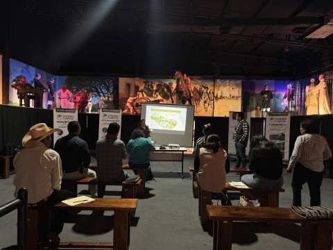 Coordinan acciones de restauraci&oacute;n ambiental en la regi&oacute;n oriente