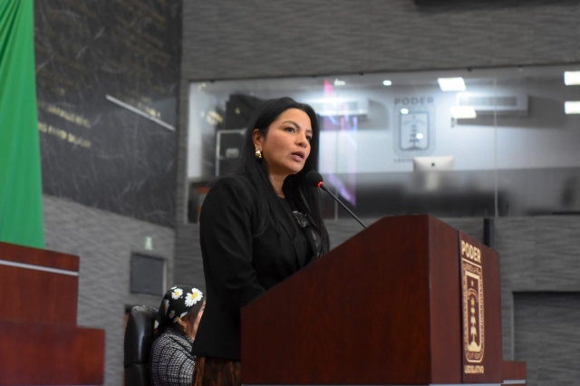 Celebra diputada Melissa Montes de Oca avance hist&oacute;rico hacia una ley general en materia de feminicidio