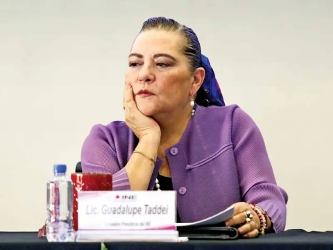 INE calcula participación de 13-20% en elección judicial del domingo