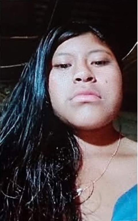 Una niña desapareció en Tlaltizapán